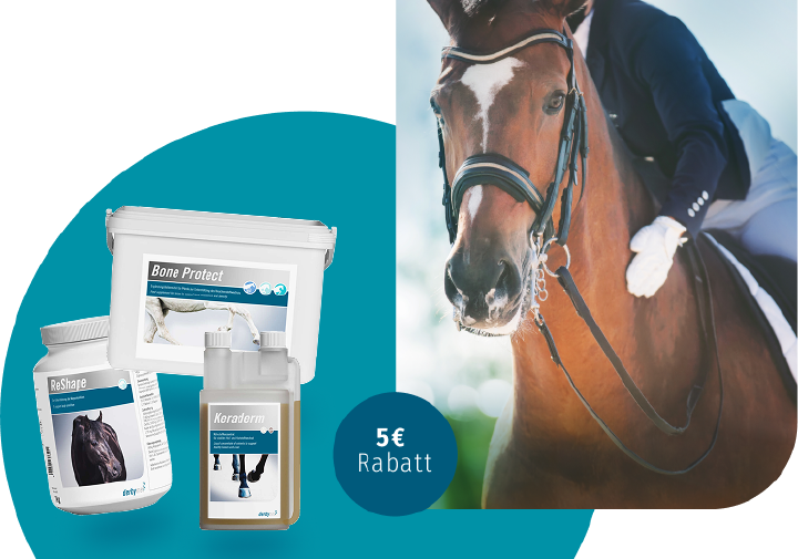 NL Black Week Grafiken ohne Icons